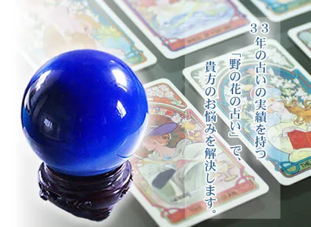 旭川 占い タロット占い 野の花　安田健治先生